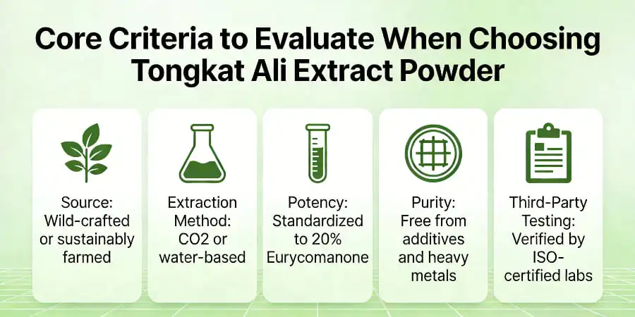 Core Criteria to Evaluate When Choosing Tongkat Ali Extract Powder