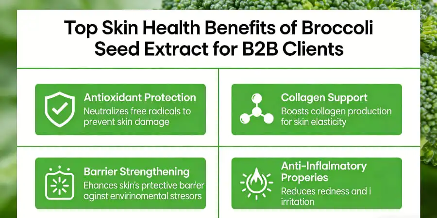 Top Skin Health Benefits of Broccoli Seed Extract for B2B Clients to Leverage