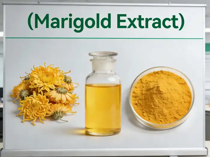 marigold extract marigold extract