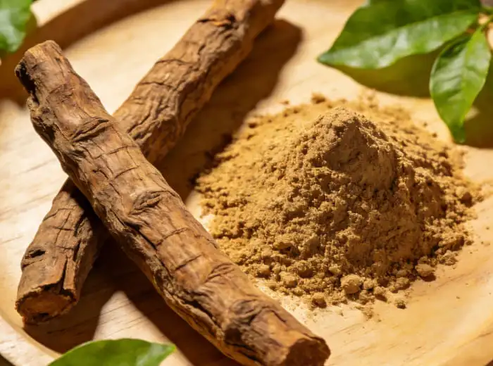 tongkat ali extract powder