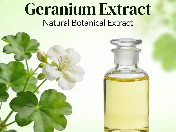 geranium extract powder