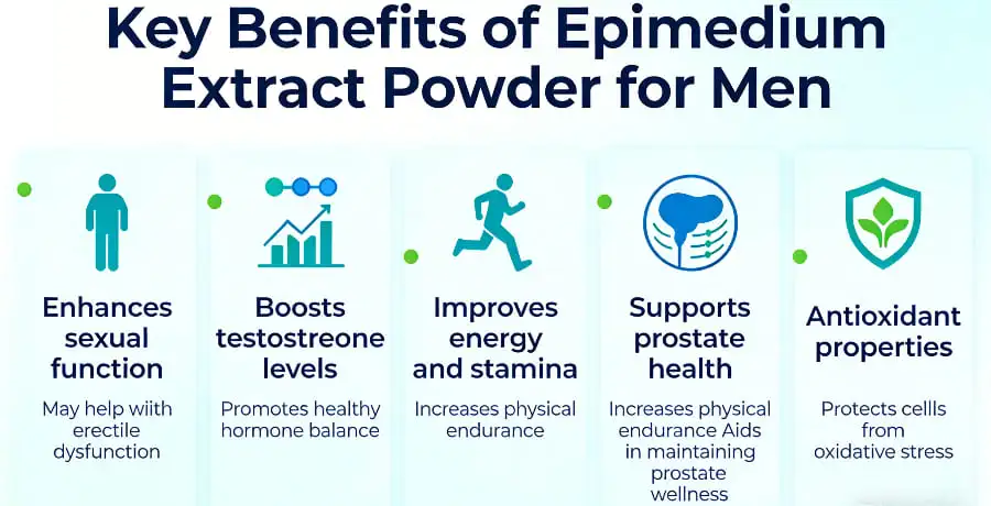 Key Benefits of Epimedium Extract Powder for Men