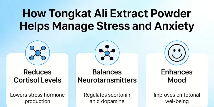 How Tongkat Ali Extract Powder Helps Manage Stress and Anxiety