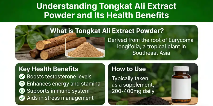 Understanding Tongkat Ali Extract Powder and Its Health Benefits