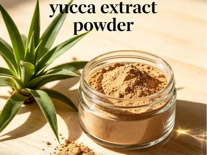yucca extract powder