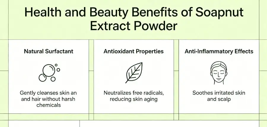 Health and Beauty Benefits of Soapnut Extract Powder