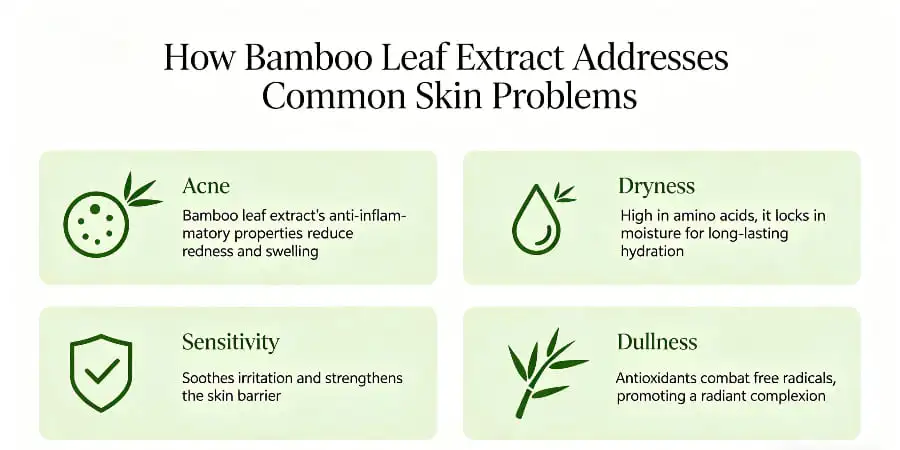 How Bamboo Leaf Extract Addresses Common Skin Problems How Bamboo Leaf Extract Addresses Common Skin Problems