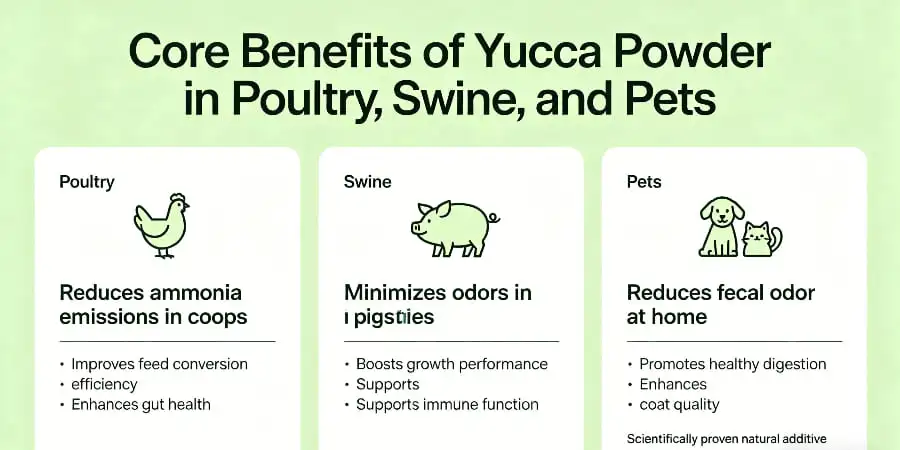 Core Benefits of Yucca Powder in Poultry, Swine, and Pets