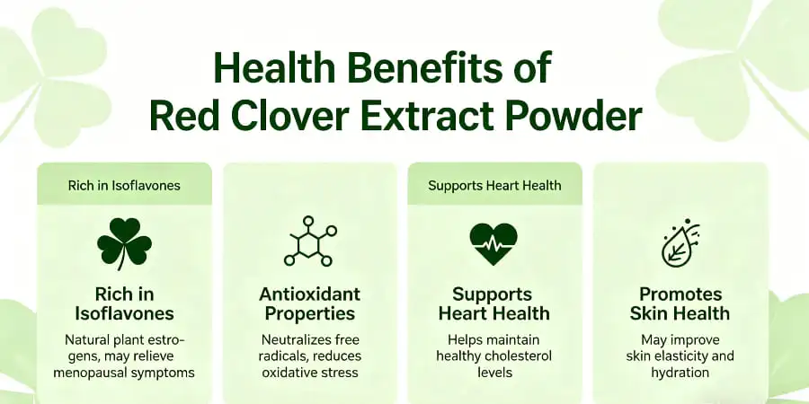 Health Benefits of Red Clover Extract Powder