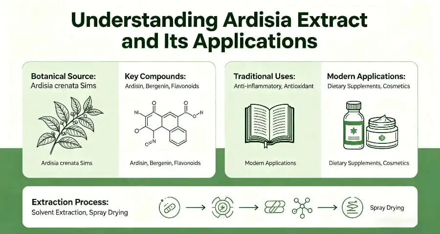 Understanding Ardisia Extract and Its Applications Understanding Ardisia Extract and Its Applications