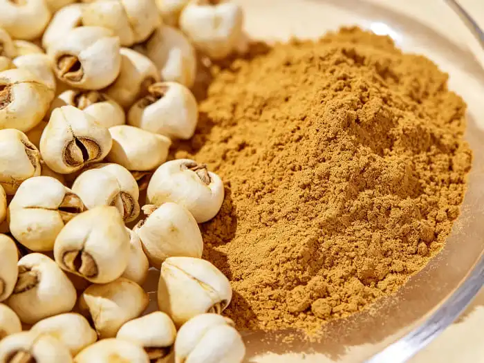 fritillaria extract powder fritillaria extract powder