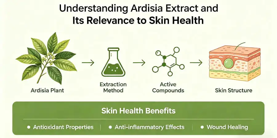 Understanding Ardisia Extract and Its Relevance to Skin Health