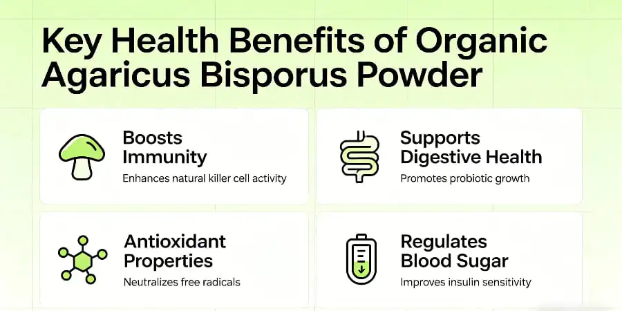 Key Health Benefits of Organic Agaricus Bisporus Powder