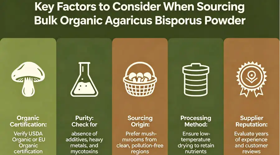 Key Factors to Consider When Sourcing Bulk Organic Agaricus Bisporus Powder