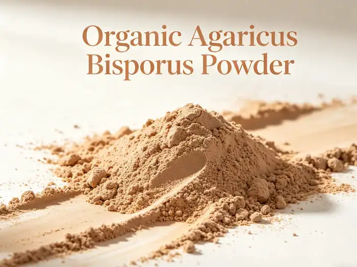 Organic agaricus bisporus powder Organic agaricus bisporus powder
