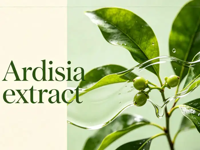 Ardisia extract Ardisia extract