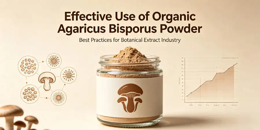 How to Use Organic Agaricus Bisporus Powder Effectively