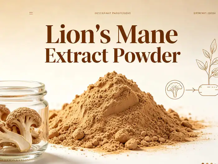 Lion's mane extract powder