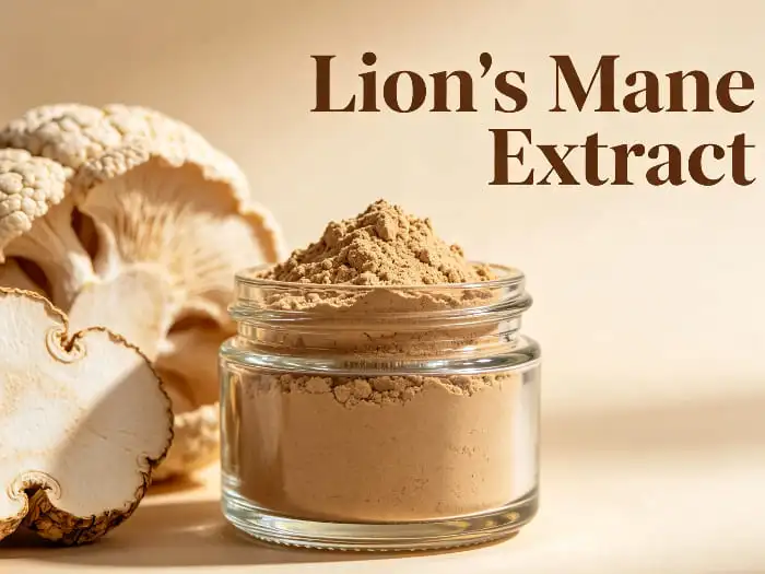 reishi extract reishi extract