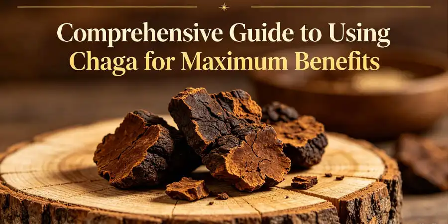Comprehensive Guide to Using Chaga for Maximum Benefits