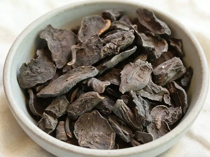 Polygonum multiflorum extract