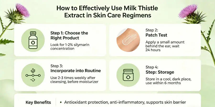 How to Effectively Use Milk Thistle Extract in Skin Care Regimens How to Effectively Use Milk Thistle Extract in Skin Care Regimens