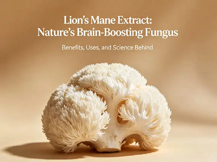 Lion's mane extract Lion's mane extract