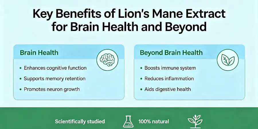 Key Benefits of Lion's Mane Extract for Brain Health and Beyond Key Benefits of Lion's Mane Extract for Brain Health and Beyond