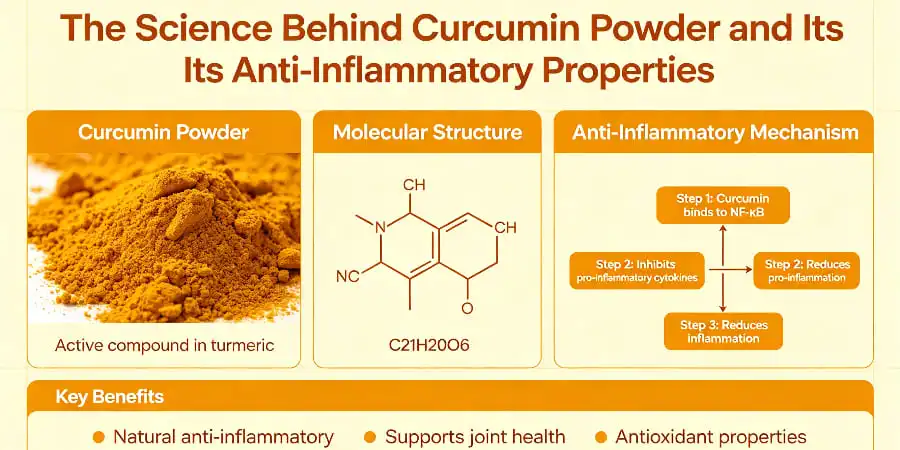 The Science Behind Curcumin Powder and Its Anti-Inflammatory Properties The Science Behind Curcumin Powder and Its Anti-Inflammatory Properties