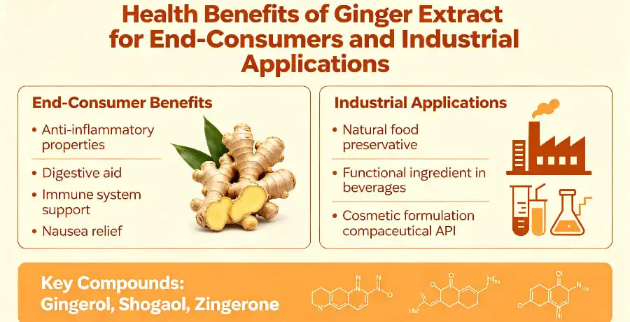 Health Benefits of Ginger Extract for End-Consumers and Industrial Applications Health Benefits of Ginger Extract for End-Consumers and Industrial Applications