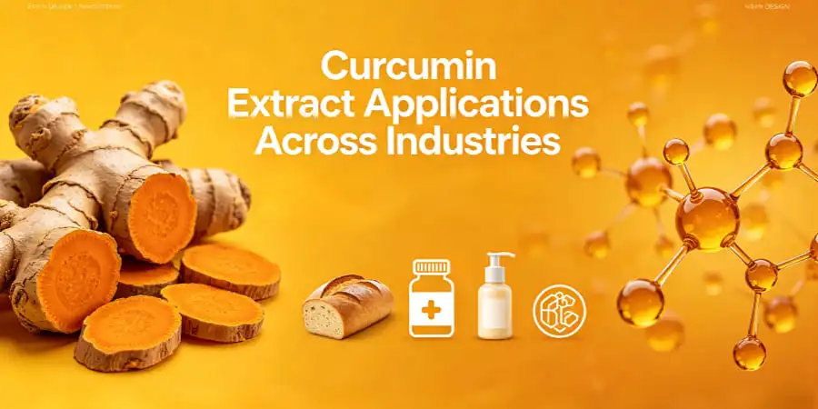 Curcumin Extract Applications Across Industries Curcumin Extract Applications Across Industries