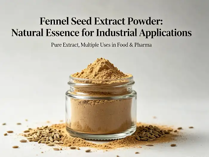 Fennel seed extract powder Fennel seed extract powder