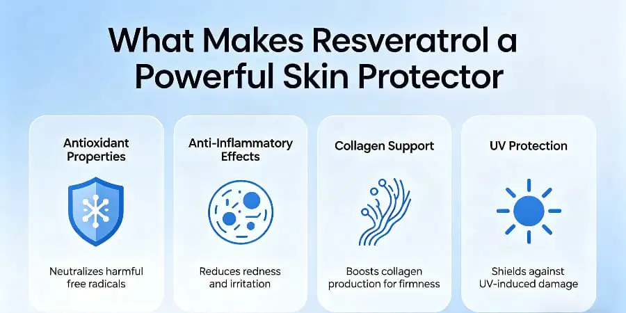 What Makes Resveratrol a Powerful Skin Protector