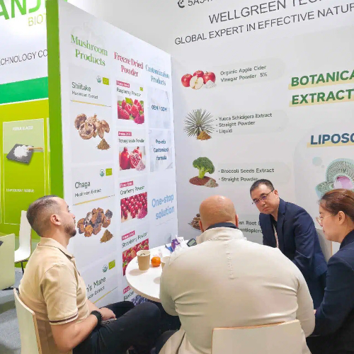 Wellgreen discussing with European buyer Wellgreen discussing with European buyer
