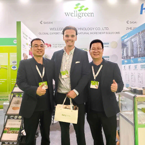 Wellgreen CEO shaking hands partner Wellgreen CEO shaking hands partner