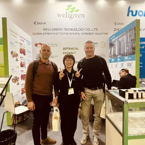 Wellgreen visitors at booth