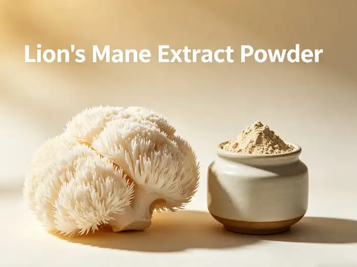 Lion's mane extract powder
