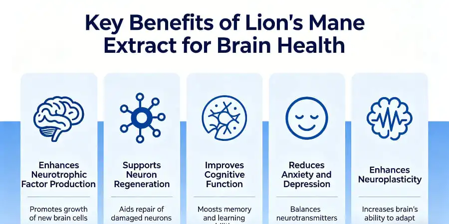 Key Benefits of Lion's Mane Extract for Brain Health