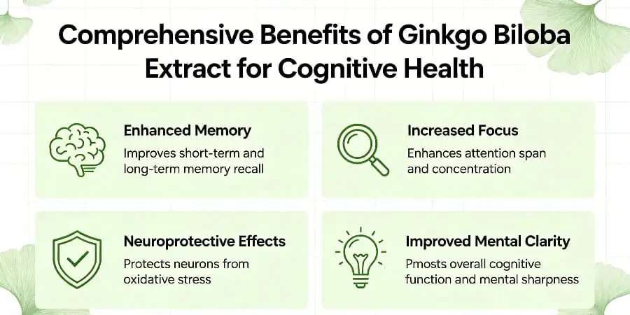 Comprehensive Benefits of Ginkgo Biloba Extract for Cognitive Health