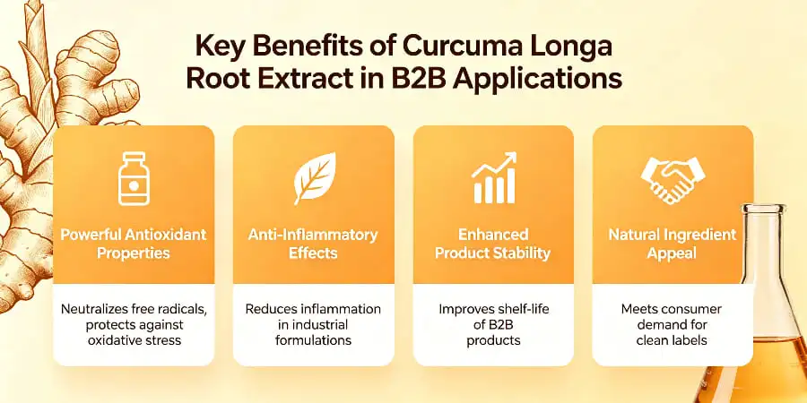 Key Benefits of Curcuma Longa Root Extract in B2B Applications