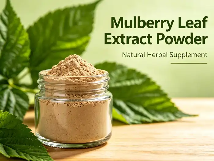 Mulberry leaf extract powder