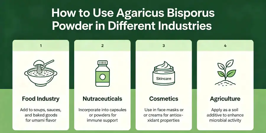 How to Use Agaricus Bisporus Powder in Different Industries