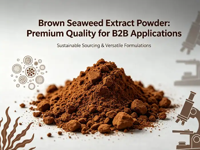 Brown seaweed extract powder