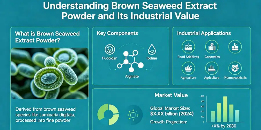 Understanding Brown Seaweed Extract Powder and Its Industrial Value