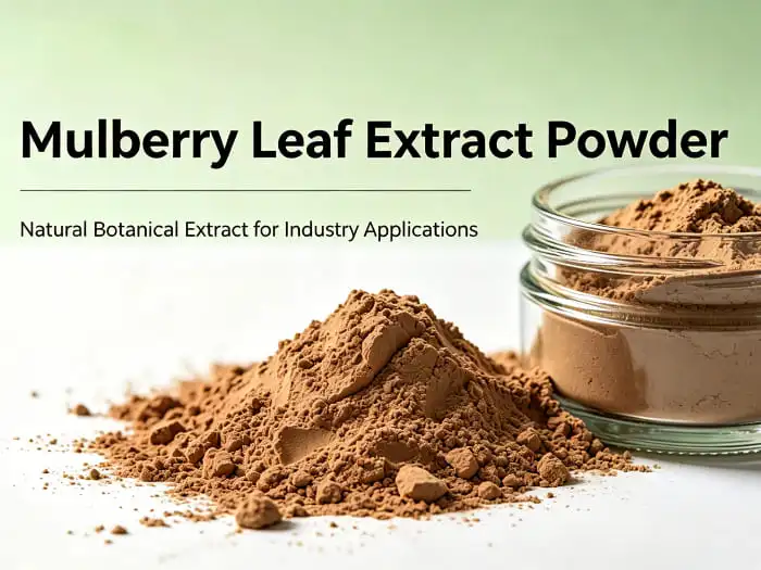 Mulberry leaf extract powder Mulberry leaf extract powder