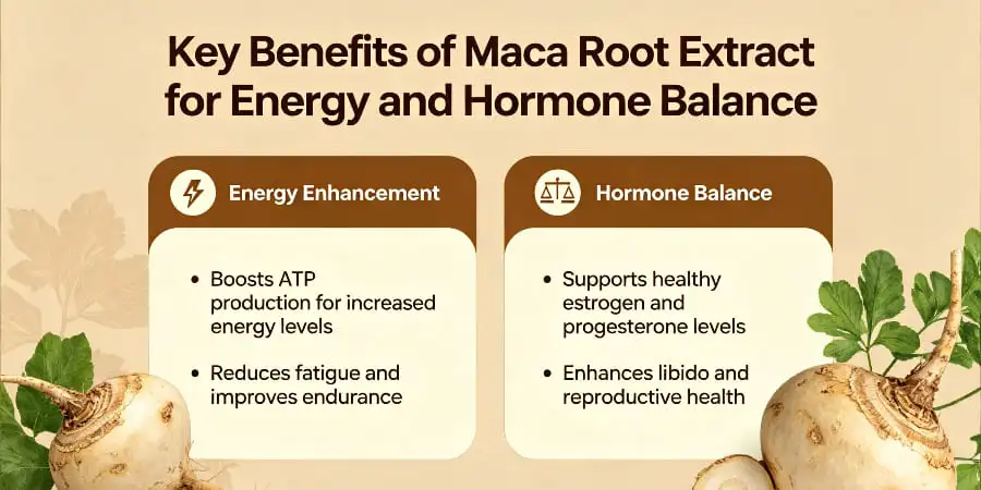 Key Benefits of Maca Root Extract for Energy and Hormone Balance Key Benefits of Maca Root Extract for Energy and Hormone Balance