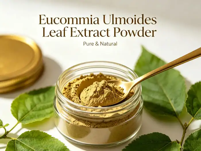 Eucommia ulmoides leaf extract