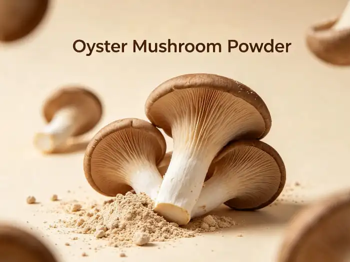 Oyster mushroom powder Oyster mushroom powder
