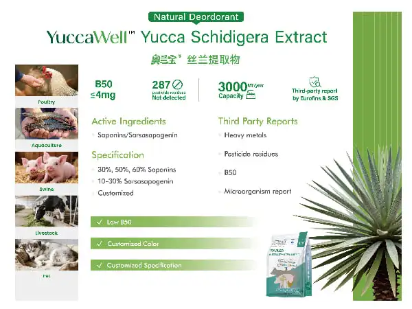Yucca Extract