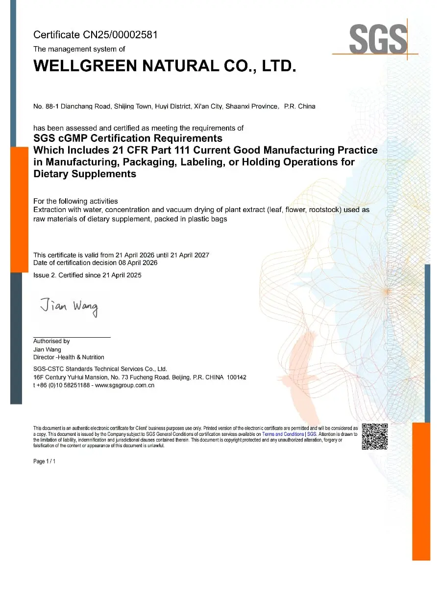 cGMP